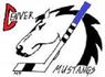 Denver Mustangs